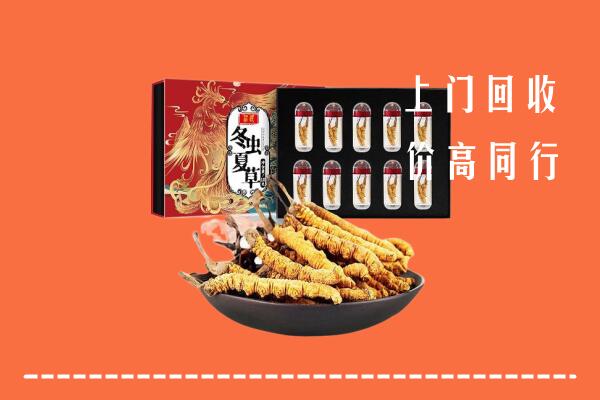 汕尾回收虫草